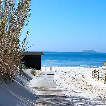 Estrella Del Mar